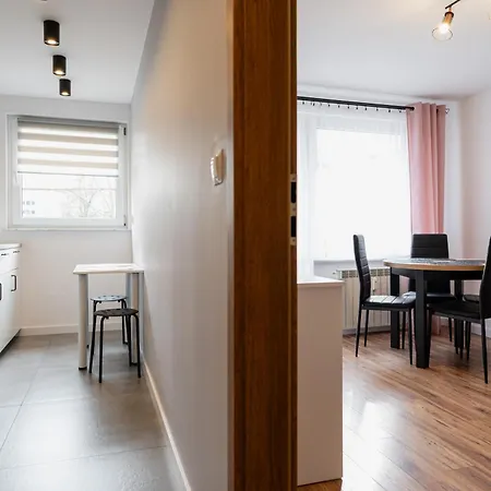 Centrum 338 Appartamento Zakopane